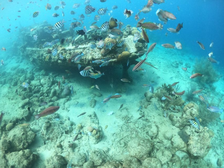 Snorkelen Curaçao & duiken Curaçao