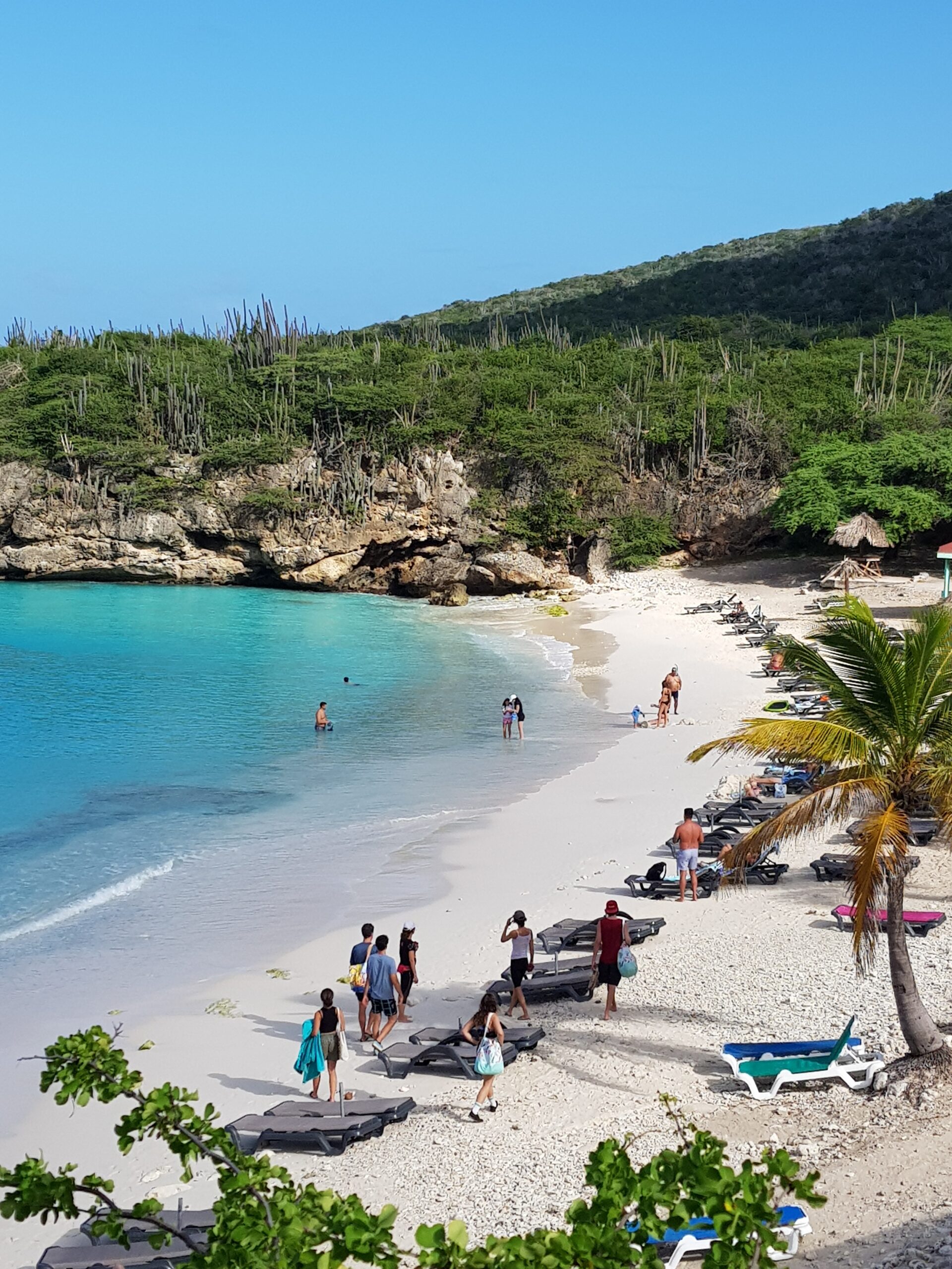 Playa Kenepa Grandi strand , grote knip Curaçao